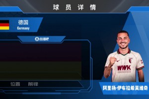 HWG！20岁拜仁小将阿里扬·伊布租借加盟奥格斯堡，来看集锦吧