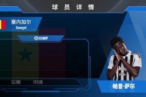 HWG！尤文先租后买3000万欧签下热刺中场，来看帕普·萨尔集锦