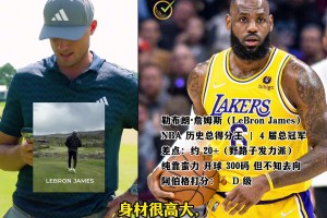 阿伯格给12 位文体巨星挥杆排梯队！ 詹姆斯惨遭D级，库里乔丹A级