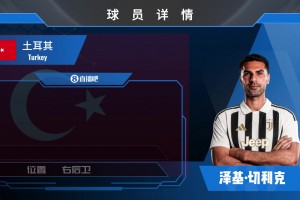 截胡罗马HWG！尤文免签土耳其国脚边卫切利克欣赏集锦吧
