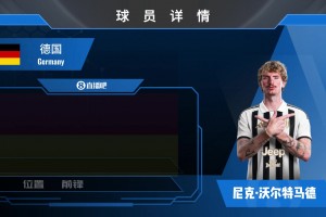 HWG！尤文350万镑租借沃尔特马德无买断条款，来看集锦~