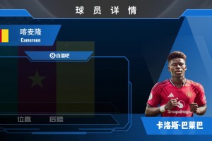 重磅HWG！曼联总价7000万镑签下巴莱巴，来看集锦！