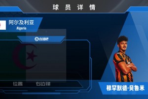 对阵蓝军双响一战成名！效力赫尔城的贝鲁米什么水平？