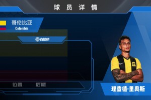 已官宣！桑坦德竞技签下阿隆·马丁，来看集锦吧