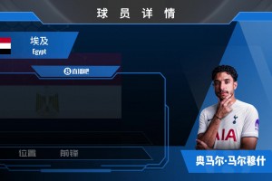重磅HWG！热刺租借+5000万镑买断签曼城前锋马尔穆什，来看集锦吧