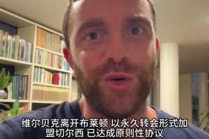HWG！切尔西将签下35岁老将维尔贝克，一起欣赏其个人集锦