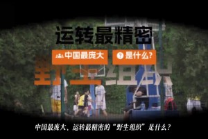 夏天结束前，能不能约学妹布朗妮打一场？这对抗想想就过瘾