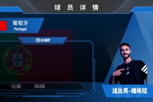 官宣！阿森纳中场法维900w正式转会汉堡⚽️来看看集锦吧