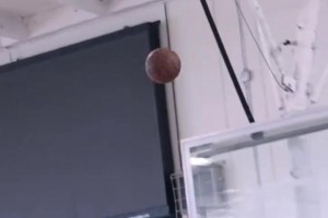 A史密斯：快船绝对是历史上最愚蠢的球队！！