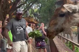布克参加同城NFL传奇名人堂仪式！一身干净利落穿搭帅呆了...